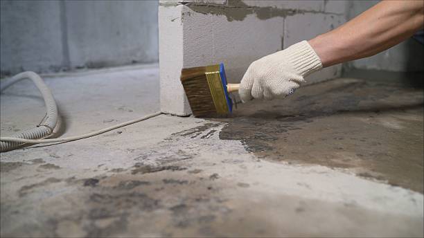 SJ Waterproofing Pros Interior Drainage System coverage map for South Rockwood, MI and surrounding area